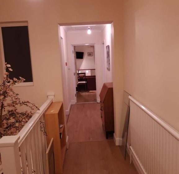 تختخواب و صبحانه Orlando S