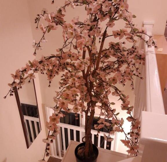 تختخواب و صبحانه Orlando S