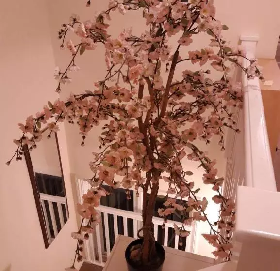 ベッドアンドブレックファースト Orlando S