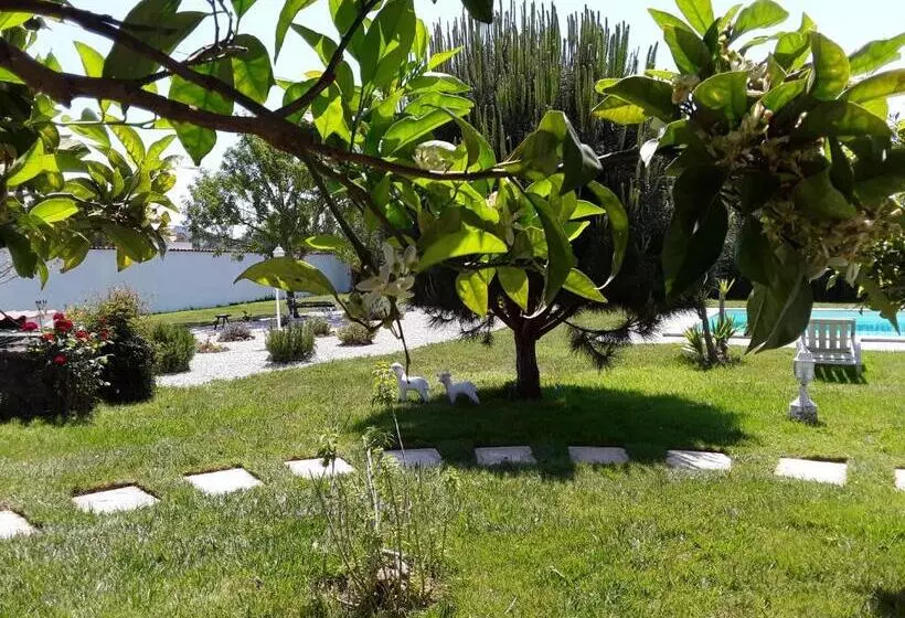 ベッドアンドブレックファースト Quinta Camargue