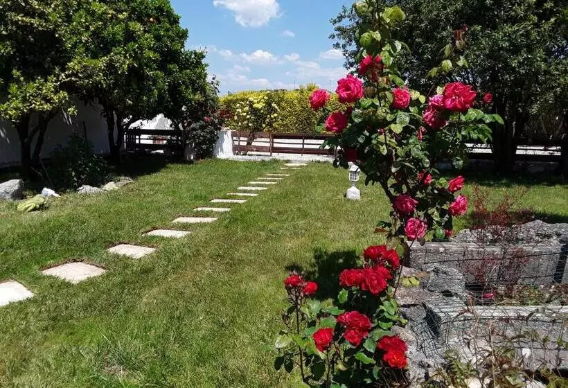 ベッドアンドブレックファースト Quinta Camargue