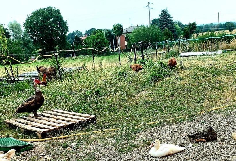 ホテル Agriturismo Azienda Agricola Ferrari M.rita