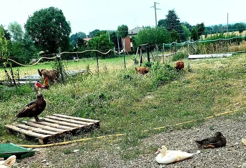 ホテル Agriturismo Azienda Agricola Ferrari M.rita
