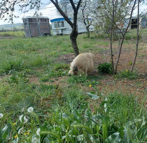 ホテル Agriturismo Azienda Agricola Ferrari M.rita