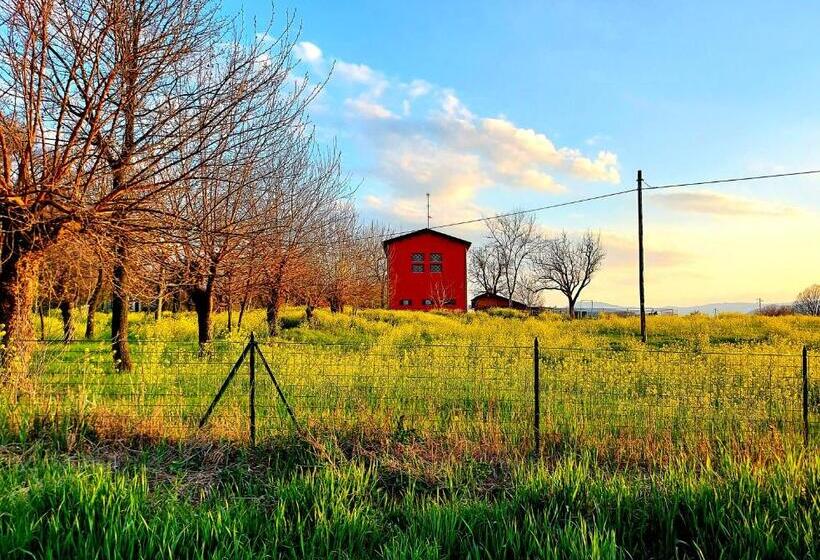 ホテル Agriturismo Azienda Agricola Ferrari M.rita