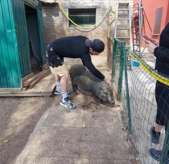 ホテル Agriturismo Azienda Agricola Ferrari M.rita