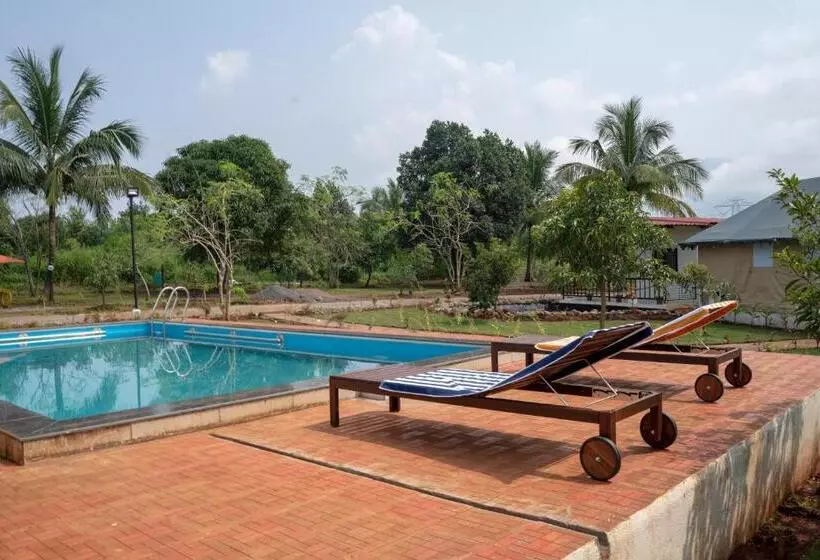 ホテル Roy S Nature Nest   Farm Stay Near Malshej Ghats