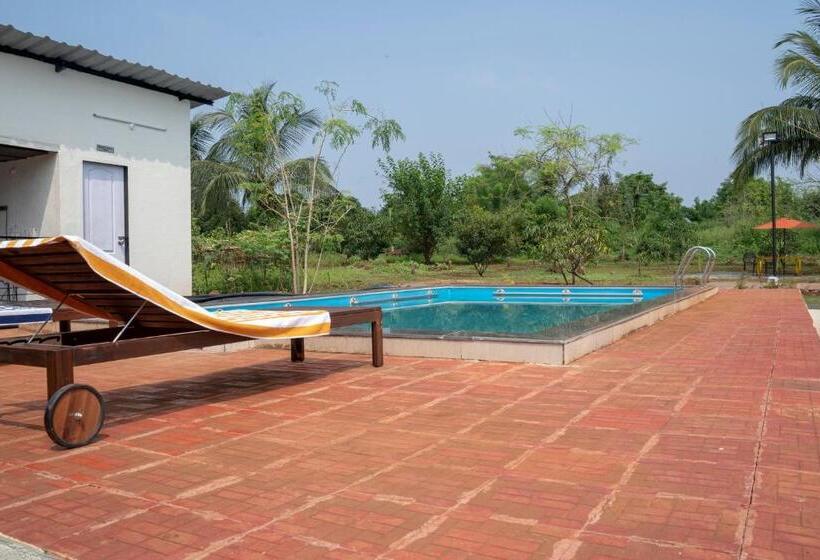 Hotel Roy S Nature Nest   Farm Stay Near Malshej Ghats