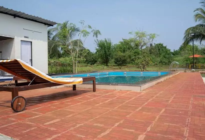 ホテル Roy S Nature Nest   Farm Stay Near Malshej Ghats