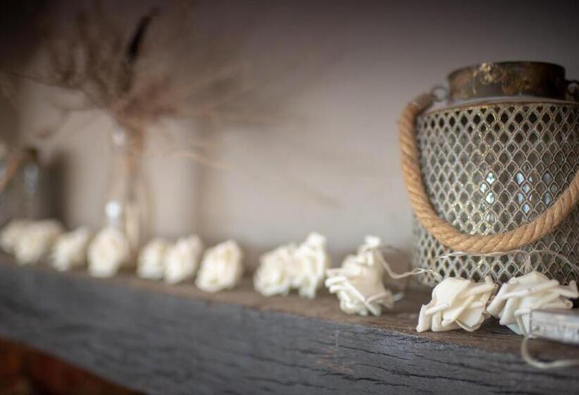 ホテル Tierkloof Mountain Cottages