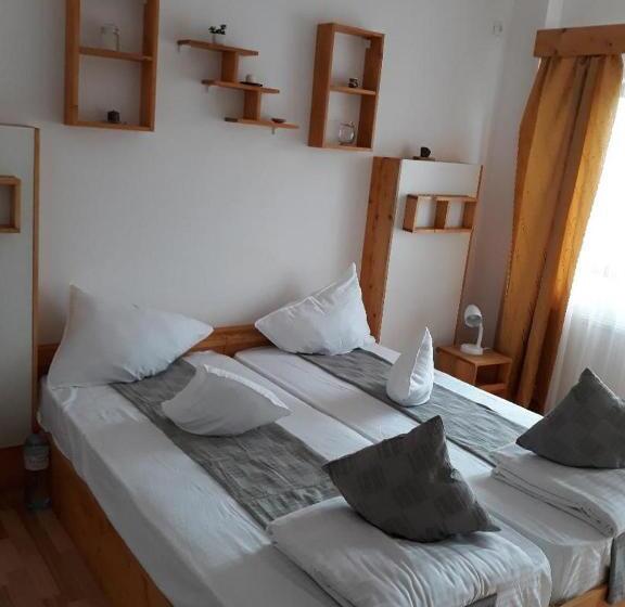 Пансион Conacul Sarbesc