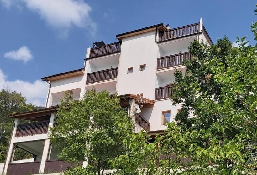 Пансион Conacul Sarbesc