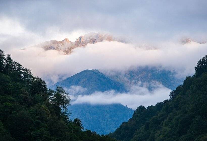 بنسيون Hakoni House