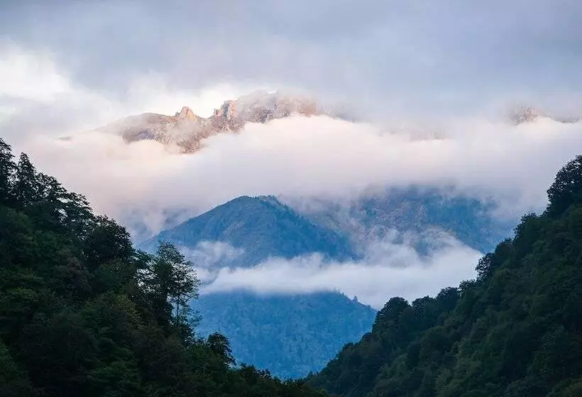ペンション Hakoni House