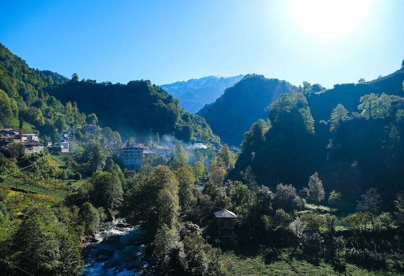 بنسيون Hakoni House