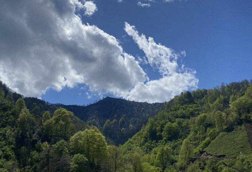 بنسيون Hakoni House