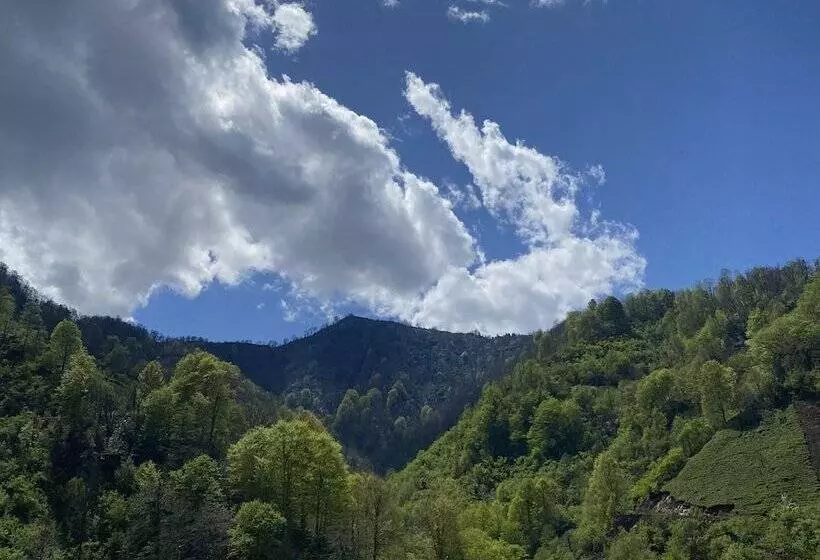 ペンション Hakoni House