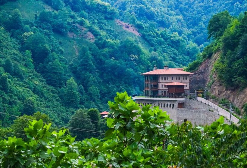 بنسيون Hakoni House