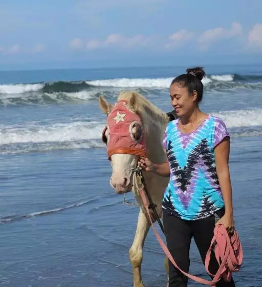 ペンション Jembrana Bali Homestay