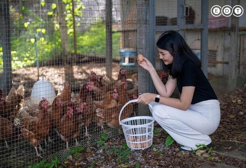 بنسيون Kongkarn Resort And Farmstay