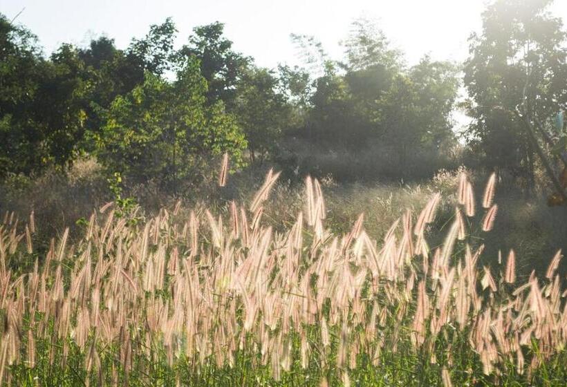 بنسيون Kongkarn Resort And Farmstay