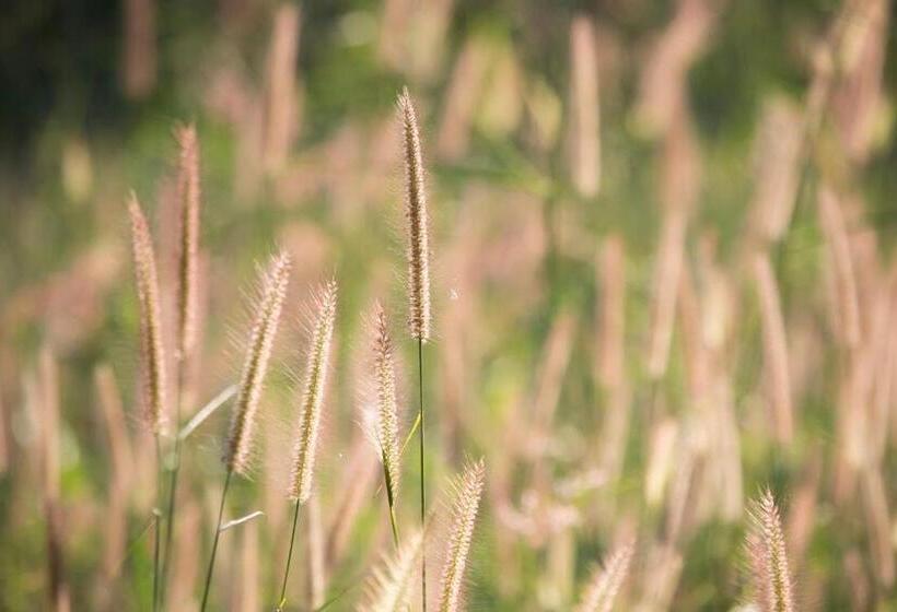 بنسيون Kongkarn Resort And Farmstay