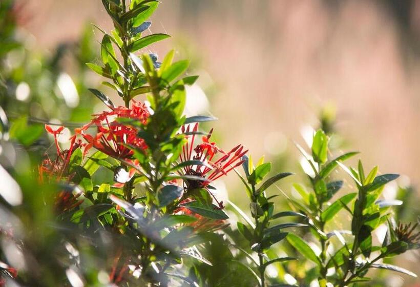 بنسيون Kongkarn Resort And Farmstay