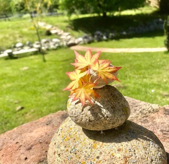 بنسيون Natur Kán