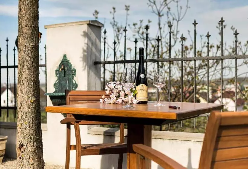 ペンション Penzion Kovács