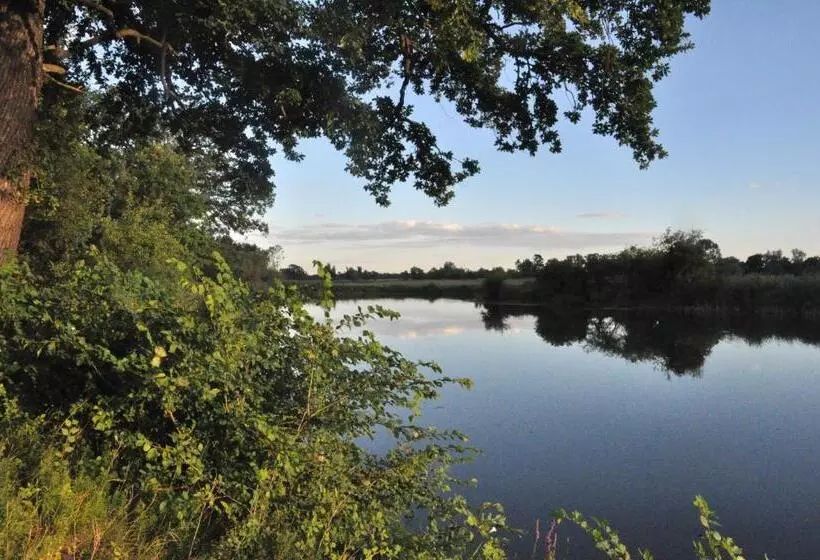 Pension  Seeblick Am Stelzenhaus