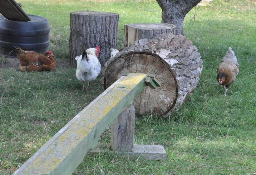 Pension  Seeblick Am Stelzenhaus