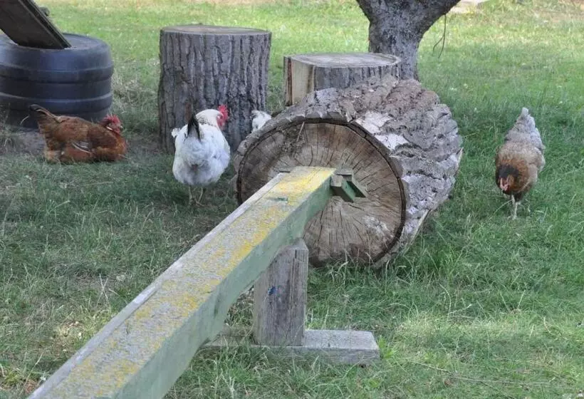 Pension  Seeblick Am Stelzenhaus