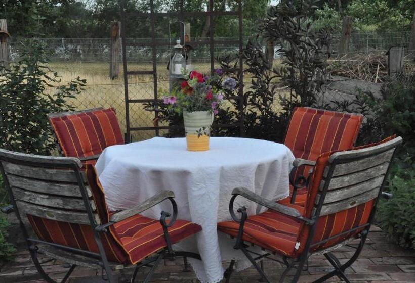 Pension  Seeblick Am Stelzenhaus