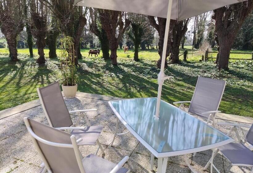 مبيت وإفطار Chambre Sixties