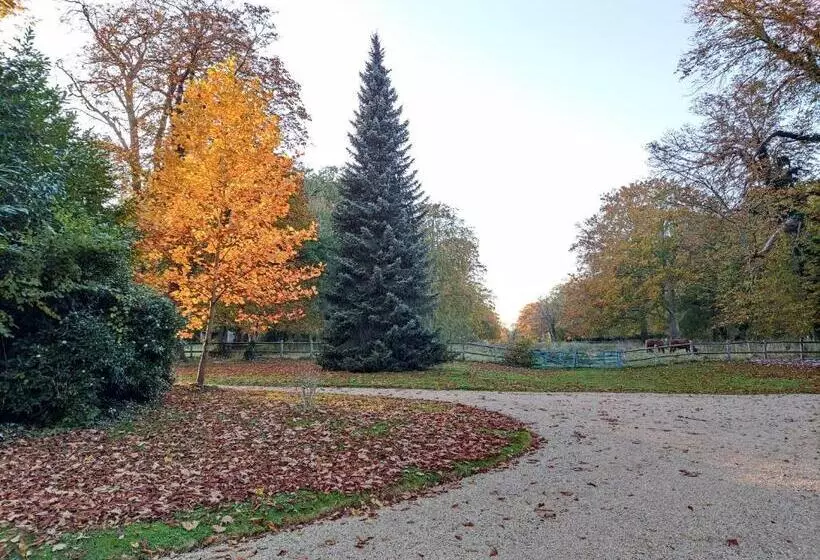 ベッドアンドブレックファースト Chambre Sixties