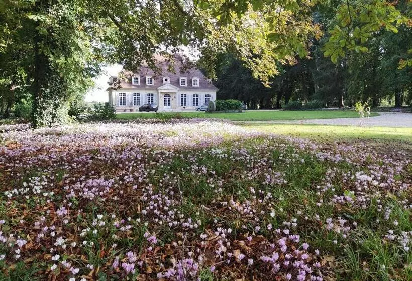 ベッドアンドブレックファースト Chambre Sixties