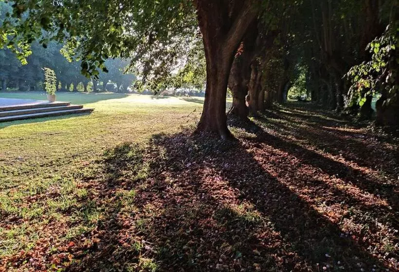 ベッドアンドブレックファースト Chambre Sixties