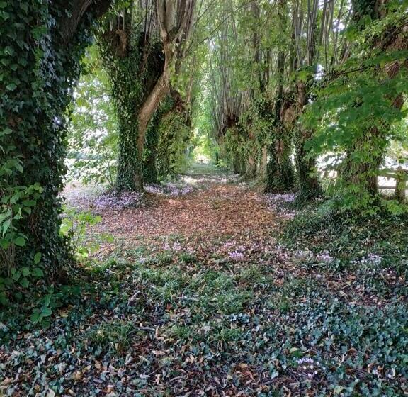 مبيت وإفطار Chambre Sixties