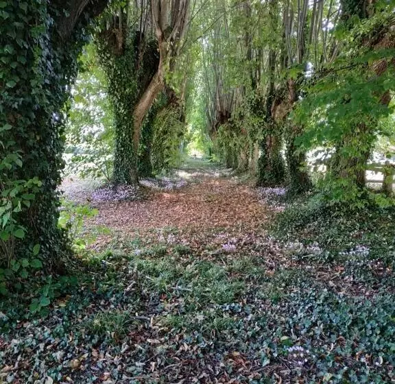 ベッドアンドブレックファースト Chambre Sixties