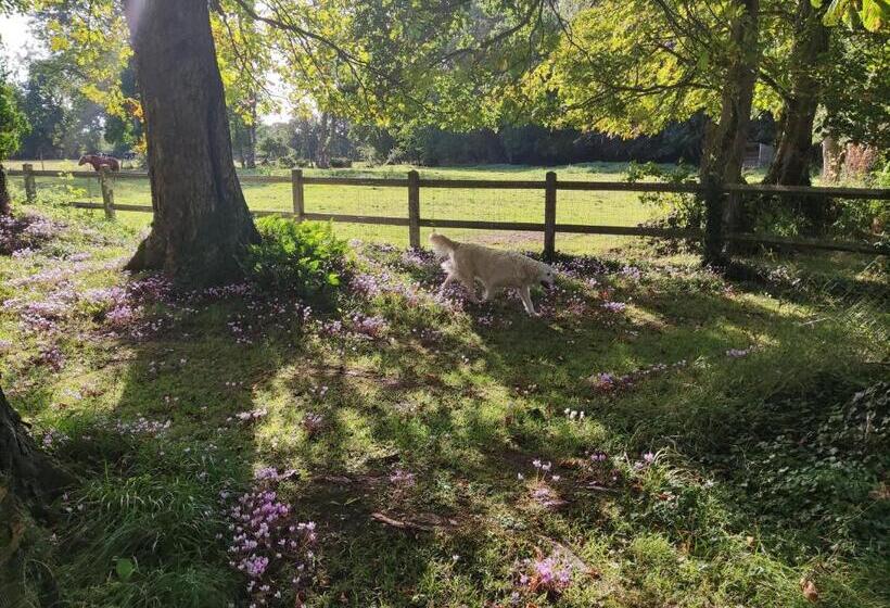 مبيت وإفطار Chambre Sixties