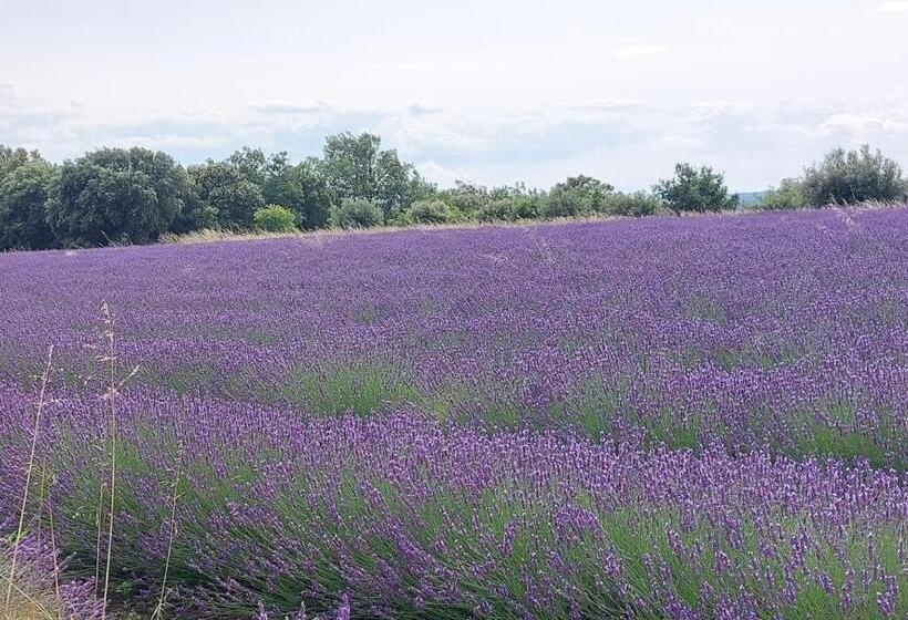 مبيت وإفطار Le Mas De Marie