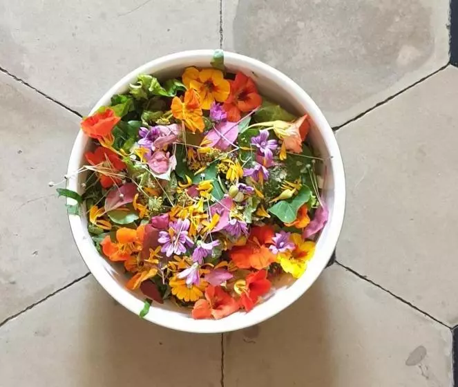 Aamiaismajoitus (B&B) Rosario