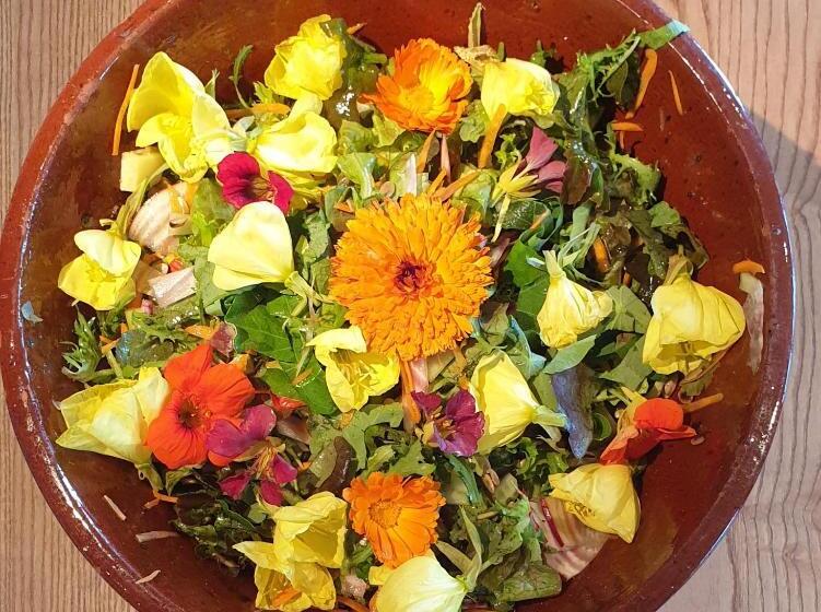 تختخواب و صبحانه Rosario