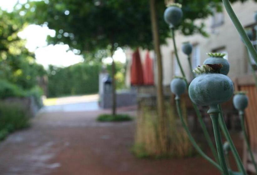 تختخواب و صبحانه Rosario