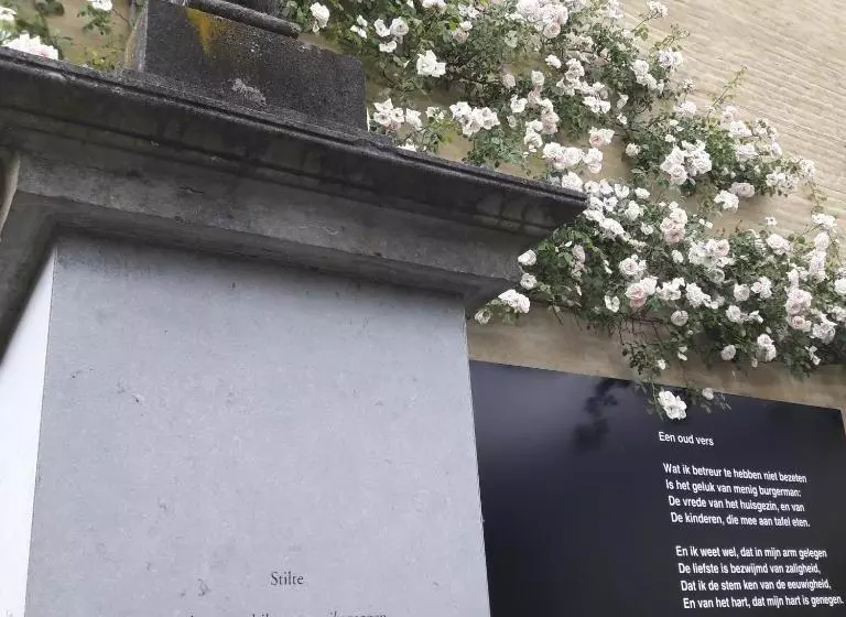 Aamiaismajoitus (B&B) Rosario