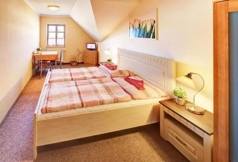 Hotelli Penzion A Restaurace U Vladaře