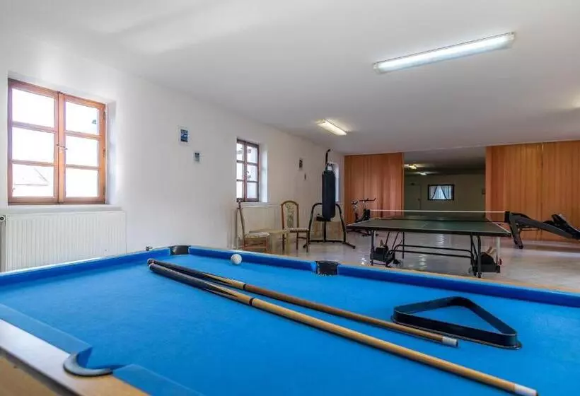 Hotelli Penzion A Restaurace U Vladaře