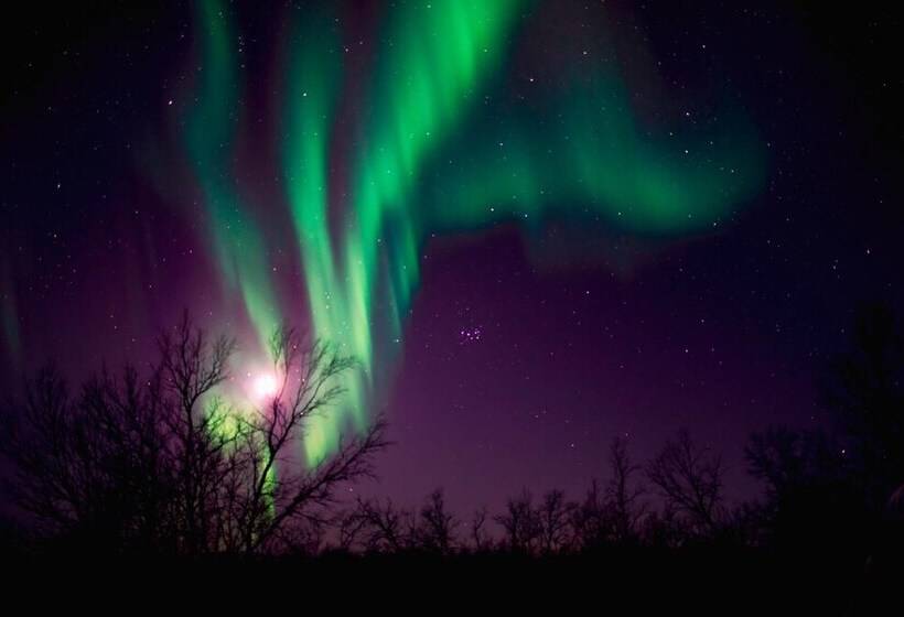 هتل Arctic Gourmet Cabin