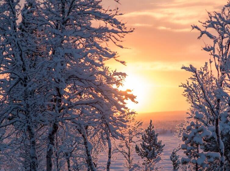 هتل Arctic Gourmet Cabin