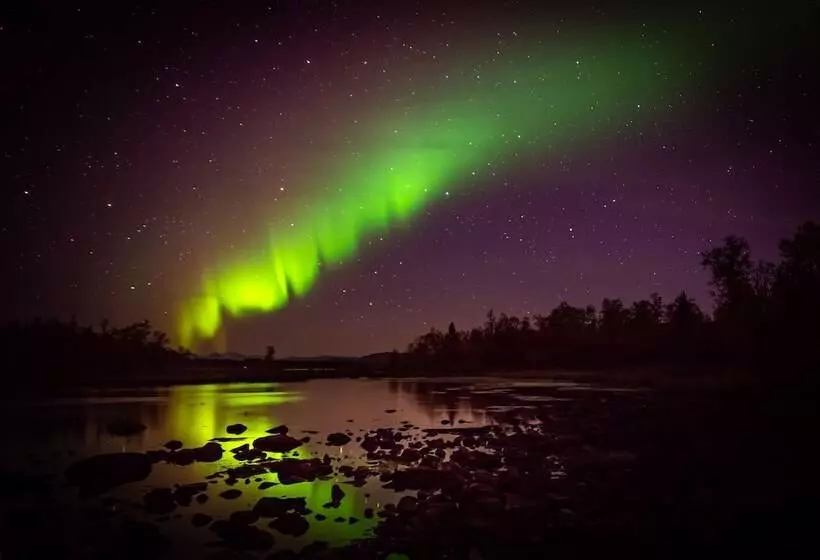 ホテル Arctic Gourmet Cabin